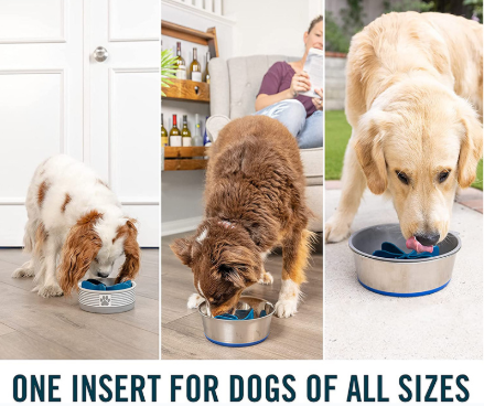 Spiral Detachable Slow Feeder Dog Bowl