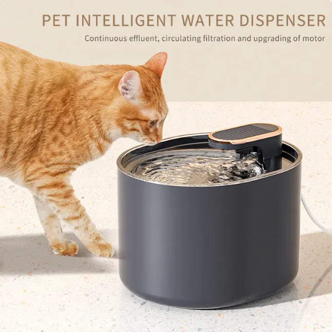 Automatic Pet Water Fountain with Quiet Operation – Cat & Dog Drinking Dispenser